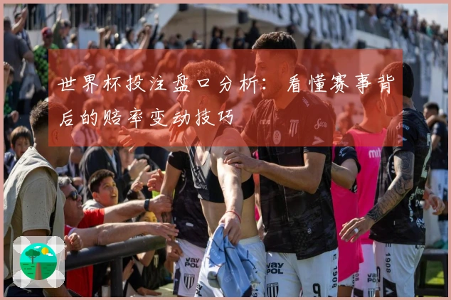 世界杯投注盘口分析：看懂赛事背后的赔率变动技巧