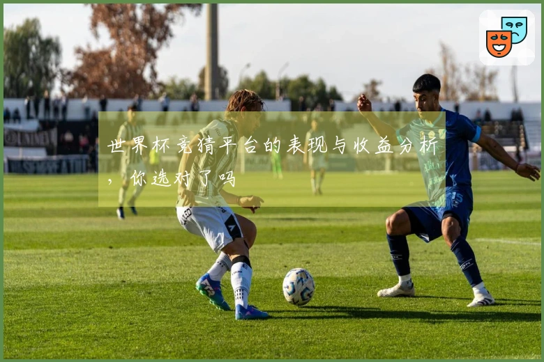 世界杯竞猜平台的表现与收益分析，你选对了吗