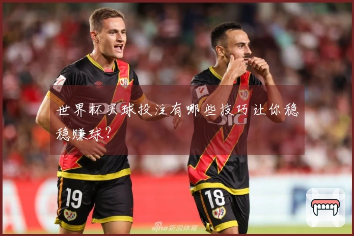 世界杯买球投注有哪些技巧让你稳稳赚球？