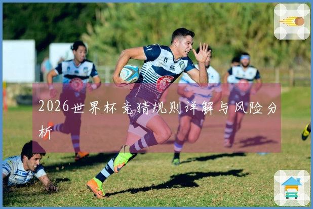 2026世界杯竞猜规则详解与风险分析
