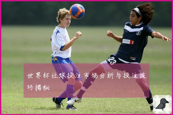 世界杯让球投注市场分析与投注技巧揭秘