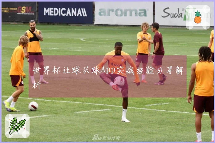 世界杯让球买球App实战经验分享解析