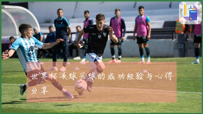 世界杯滚球买球的成功经验与心得分享