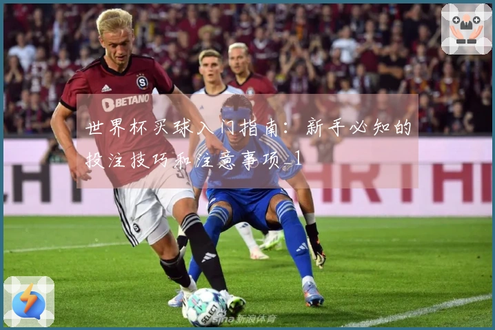 世界杯买球入门指南：新手必知的投注技巧和注意事项_1
