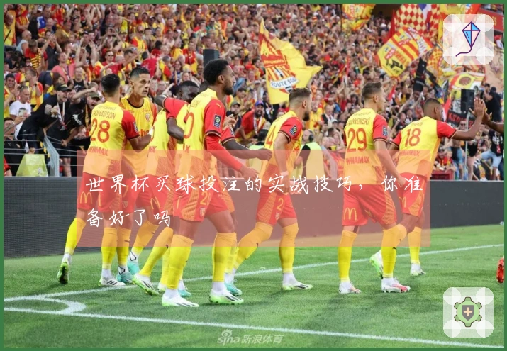 世界杯买球投注的实战技巧，你准备好了吗