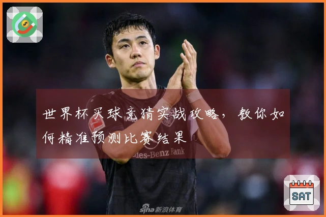 世界杯买球竞猜实战攻略，教你如何精准预测比赛结果