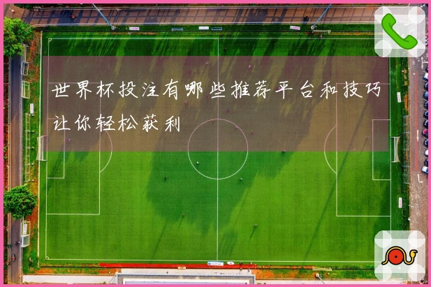 世界杯投注有哪些推荐平台和技巧让你轻松获利