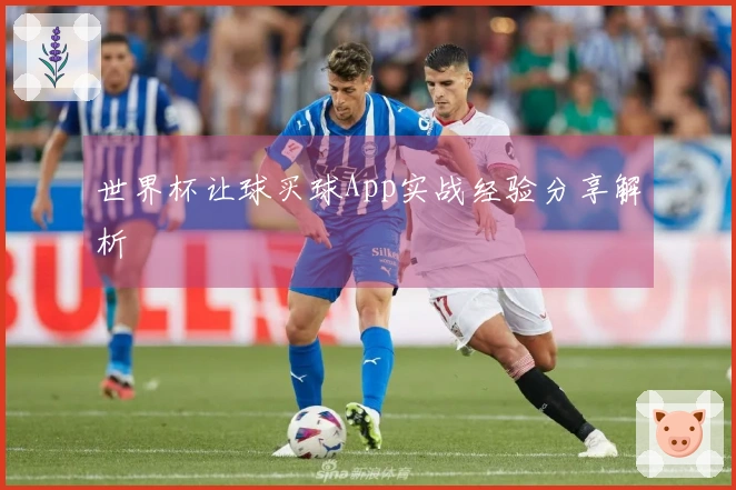 世界杯让球买球App实战经验分享解析