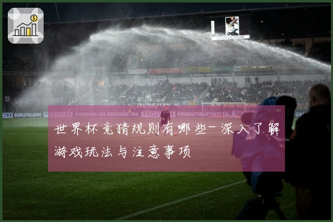 世界杯竞猜规则有哪些- 深入了解游戏玩法与注意事项