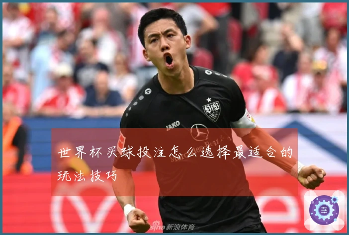 世界杯买球投注怎么选择最适合的玩法技巧