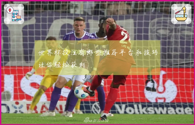 世界杯投注有哪些推荐平台和技巧让你轻松获利
