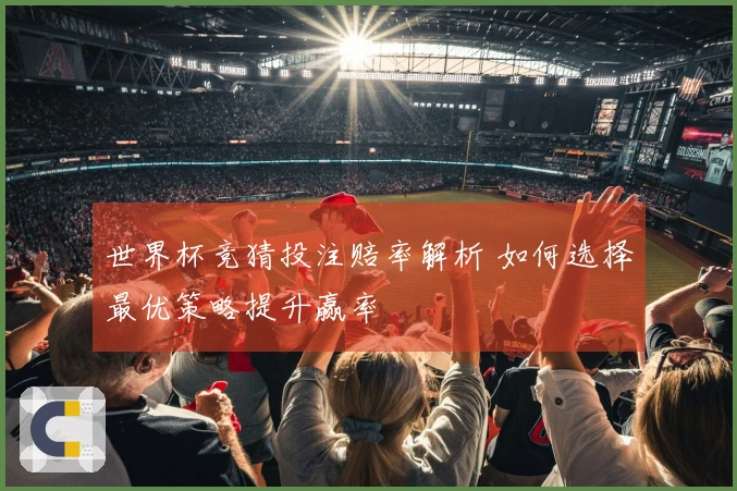 世界杯竞猜投注赔率解析 如何选择最优策略提升赢率